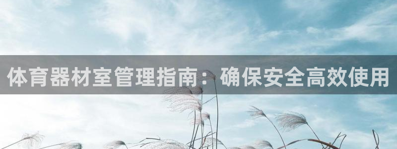 必一体育怎么下载