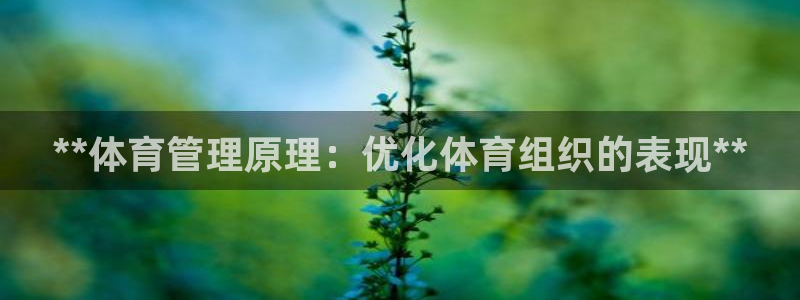 必一体育下载登入：**体育管理原理：优化体育组织的表现**