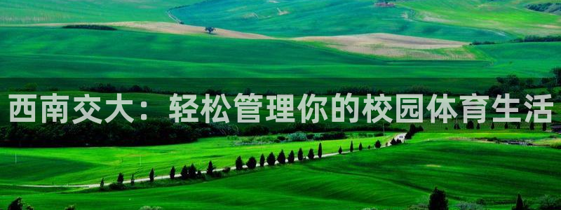 必一运动 b 体育素