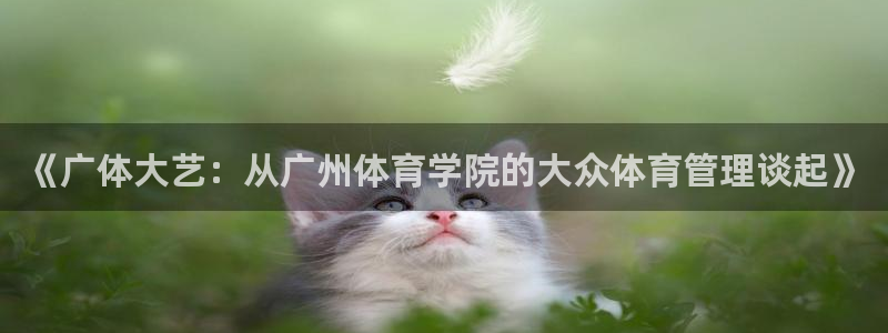 b体育必一运动网页版