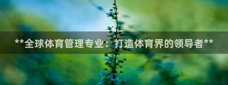 必一运动sport爱