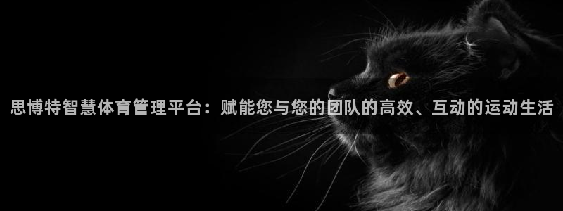 必一体育在哪下：思博