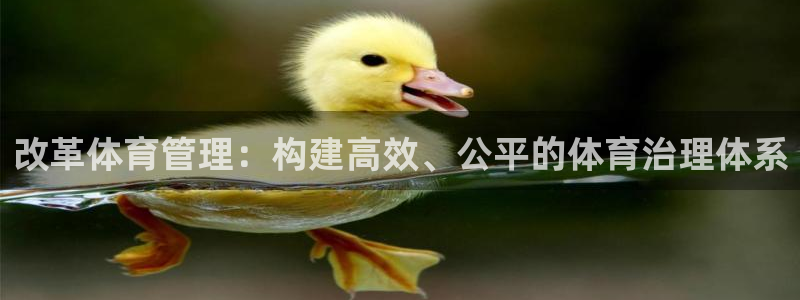 必一运动体育官网：改