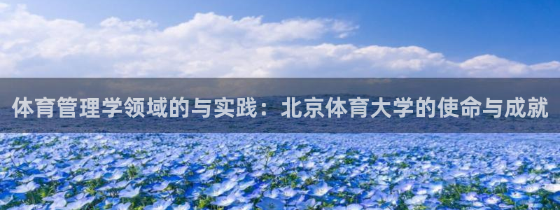 必一体育是哪里的台子