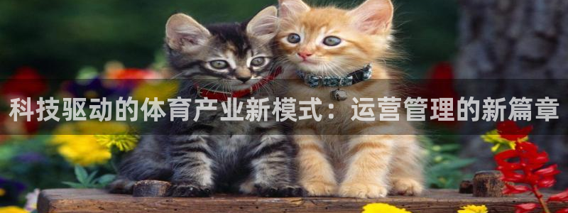 必一运动：科技驱动的