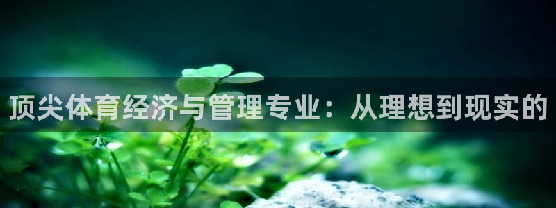 必一运动听的歌：顶尖