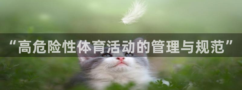 b体育官网下载入口a