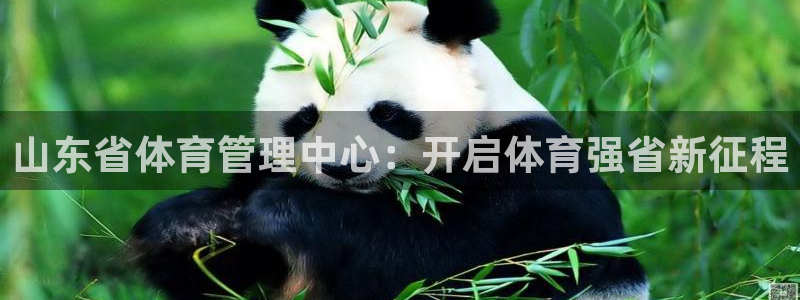 必一运动短信：山东省