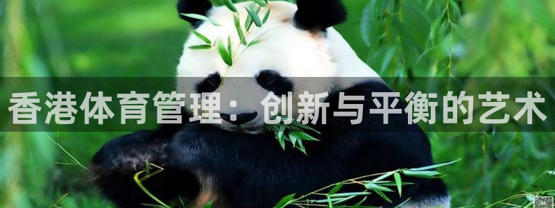 必一体育网址：香港体