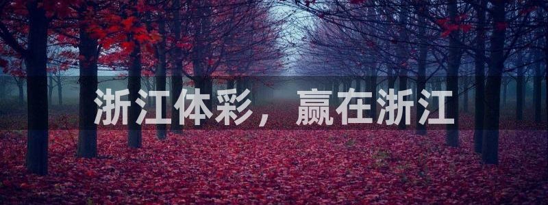 必一体育网页：浙江体