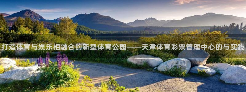 b体育官网下载入口a