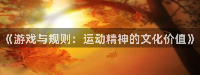 必一体育验证码：《游戏与规则：运动精神的文化价值》