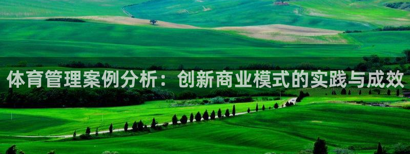 必一体育在线玩：体育管理案例分析：创新商业模式的实践与成效