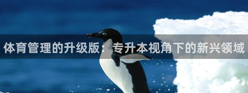 必一体育下载秀给网：