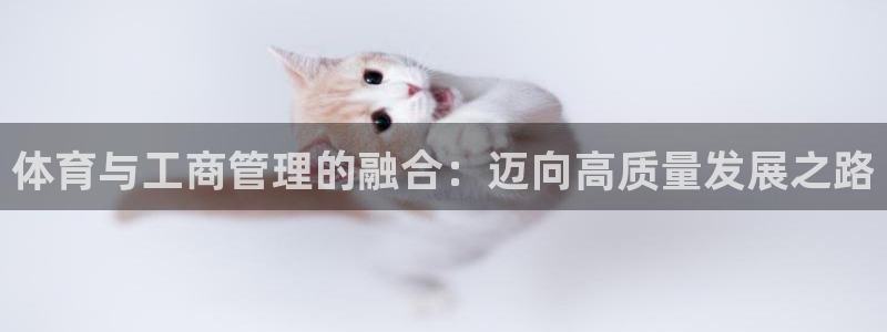 必一体育官方入口：体