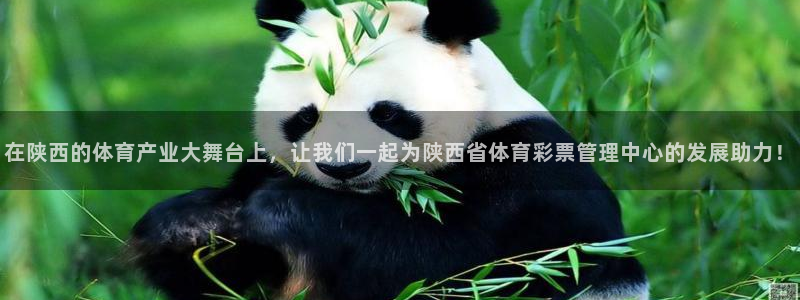 必一体育下载秀给网：