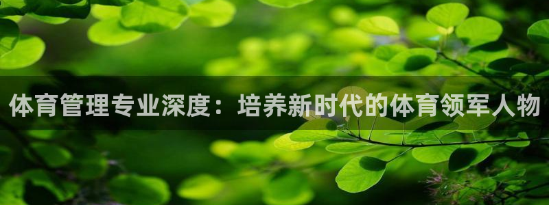 必一体育网页版登录：