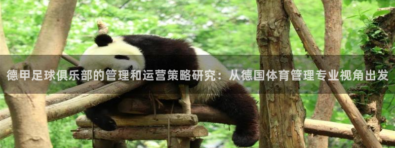 必一体育下载义：德甲