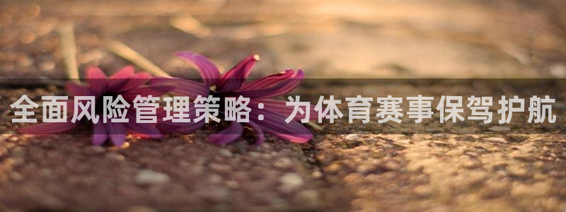 必一体育平台：全面风