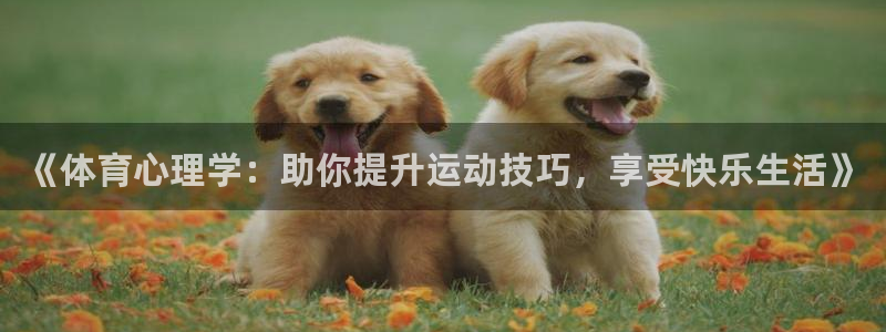 必一体育网页：《体育心理学：助你提升运动技巧，享受快乐生活》